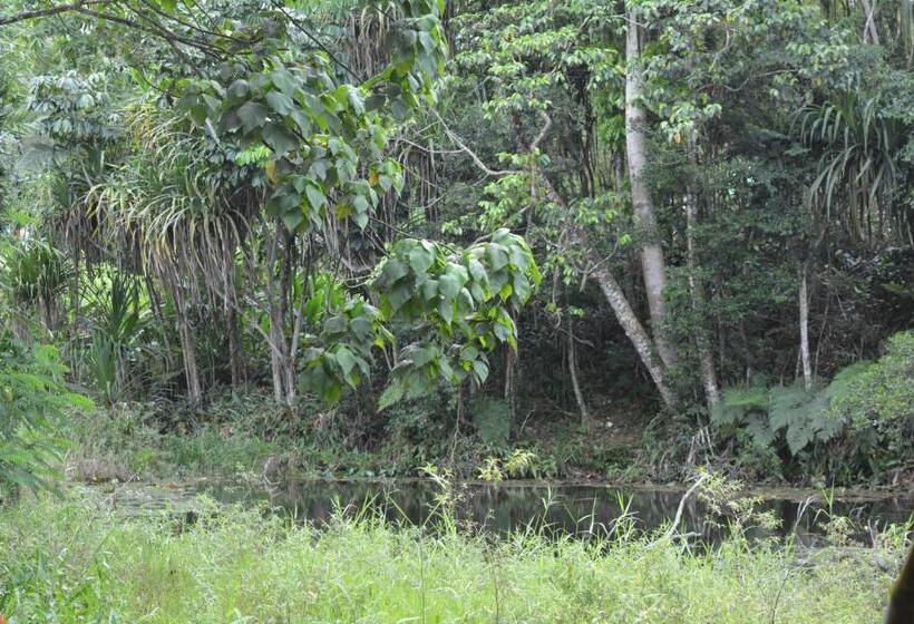 اتاق اکونومی, Rainforest Eco Lodge