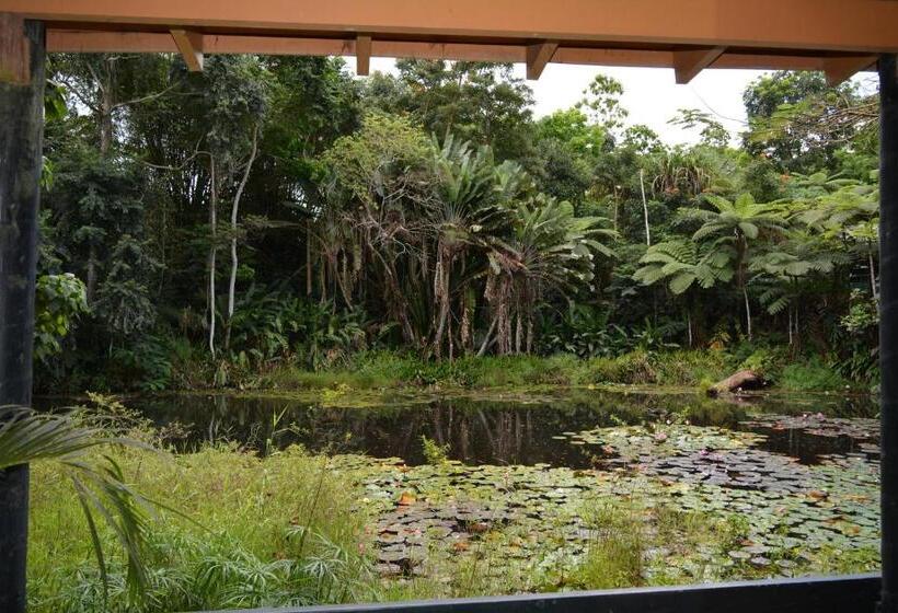 이코노미 룸, Rainforest Eco Lodge