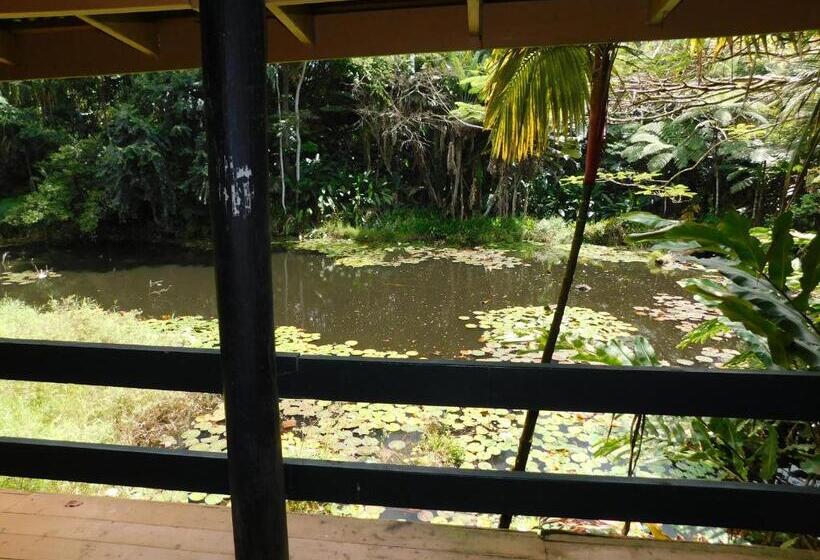 اتاق اکونومی, Rainforest Eco Lodge