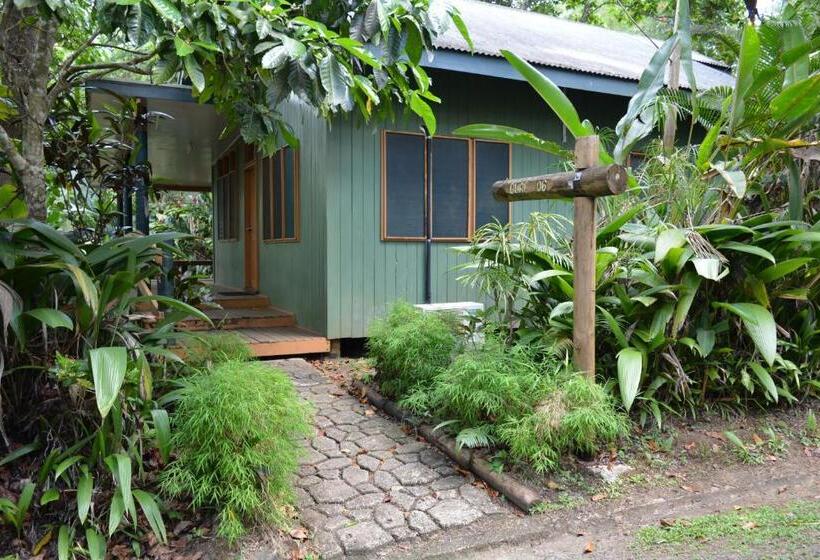 Семейный Номер, Rainforest Eco Lodge