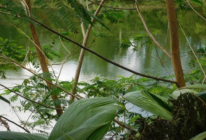 اتاق استاندارد با چشم‌انداز, Rainforest Eco Lodge