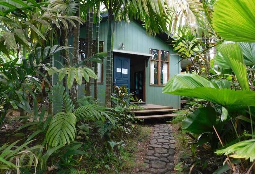 Номер Стандартный с Видом, Rainforest Eco Lodge