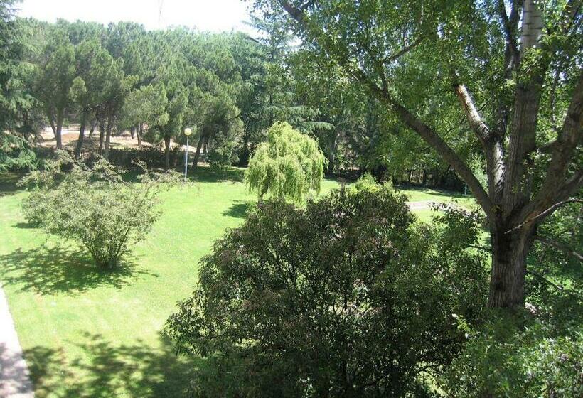 Люкс, Escuela Madrid