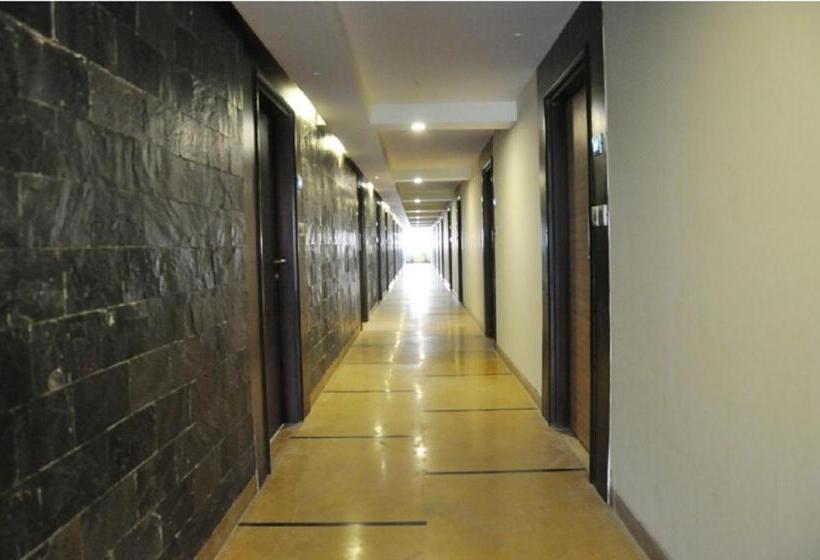 غرفة سوبيريور, Abigail Goradia S