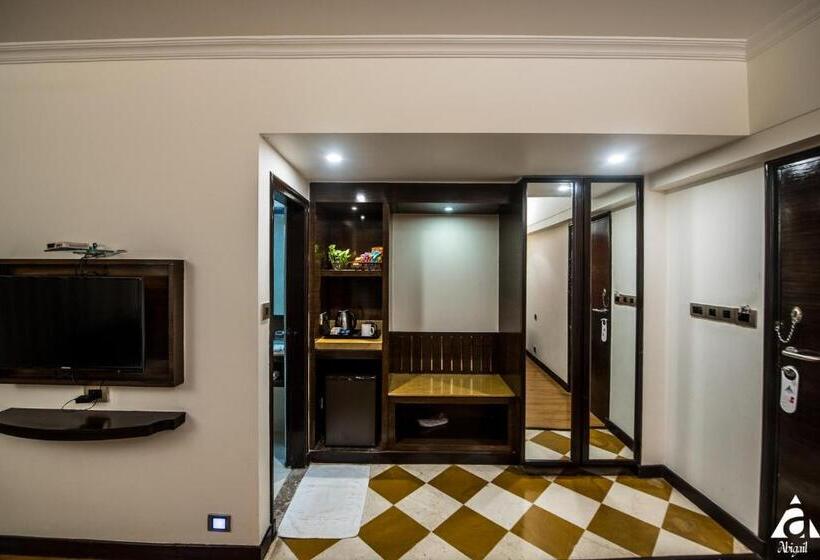 غرفة سوبيريور, Abigail Goradia S