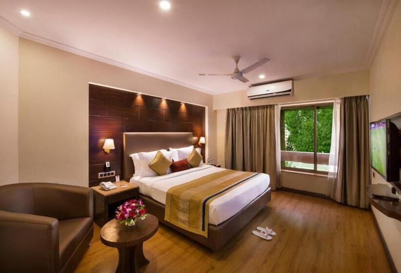 غرفة قياسية, Abigail Goradia S