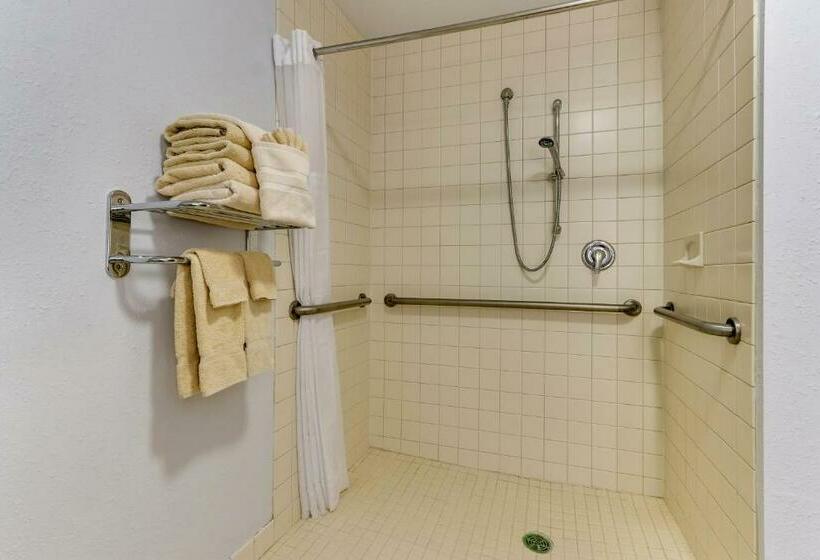 身障者適用シングルルーム, Parkshore Resort