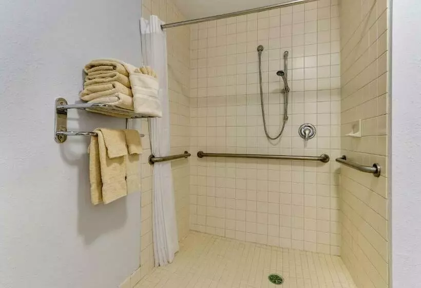 Standard Single Room Adapted for people with reduced mobility