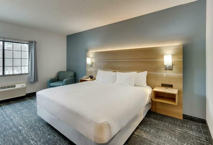 キングサイズベッドのスタンダードルーム, Parkshore Resort