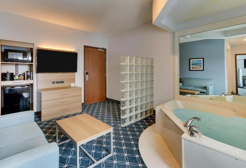 キングサイズベッドのスイートルーム, Parkshore Resort