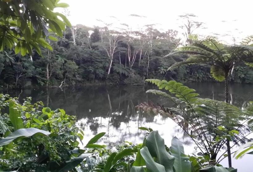 اتاق استاندارد با چشم‌انداز, Rainforest Eco Lodge