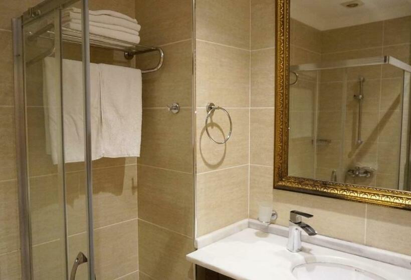 スタンダードルーム, Vois