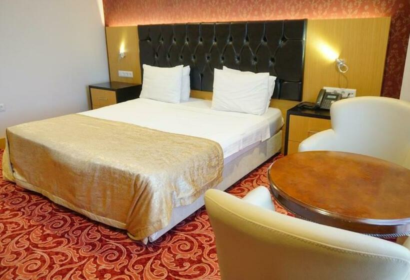 スタンダードシングルルーム, Vois