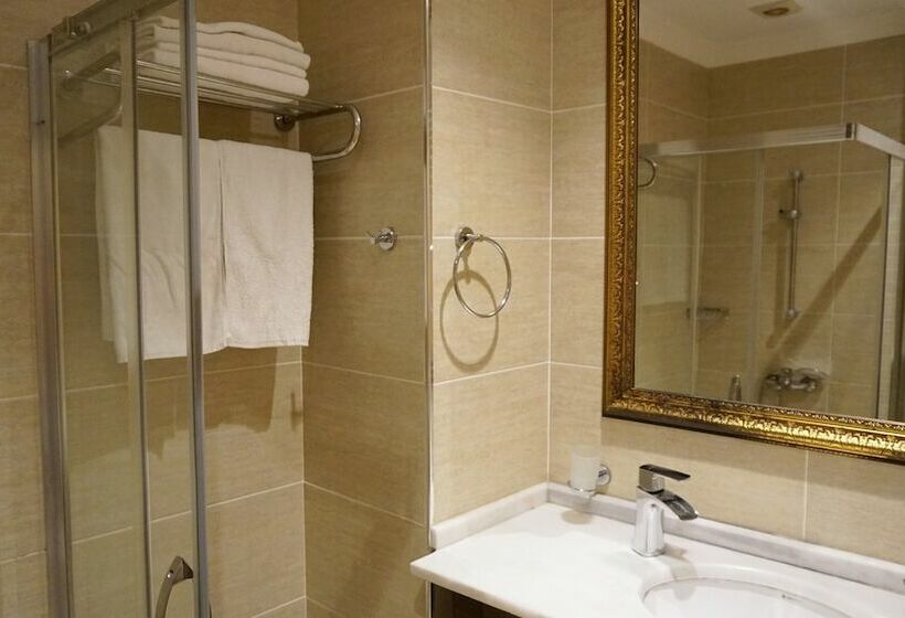 スタンダードルーム, Vois