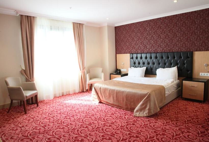 スタンダードルーム, Vois