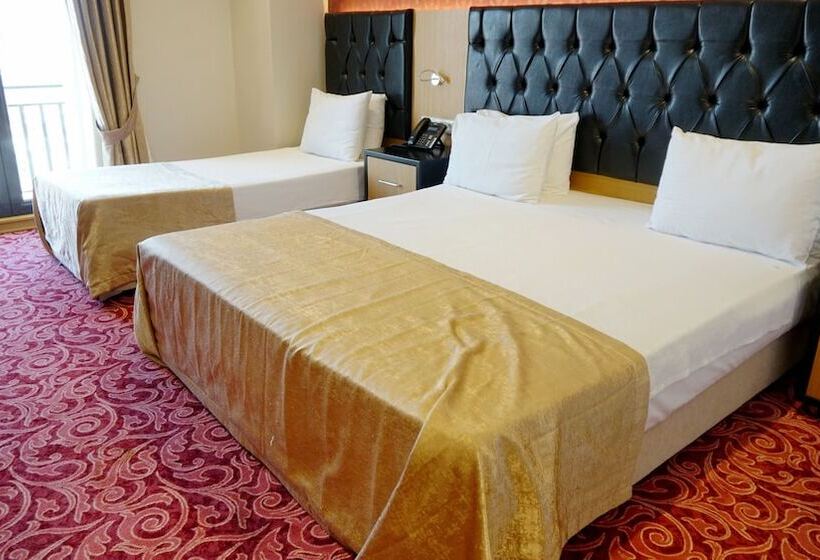 スタンダードトリプルルーム, Vois