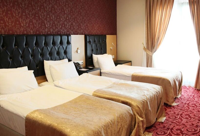 スタンダードトリプルルーム, Vois