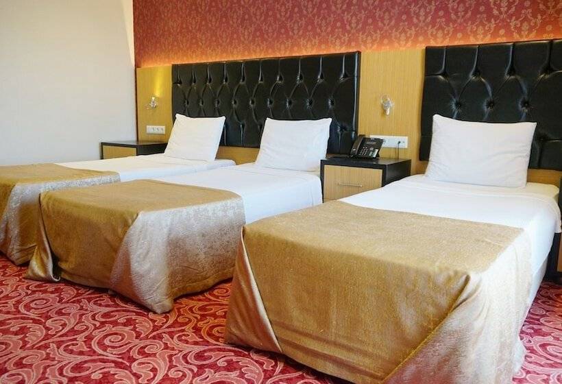 スタンダードトリプルルーム, Vois