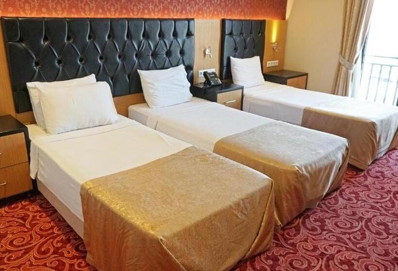 スタンダードトリプルルーム, Vois