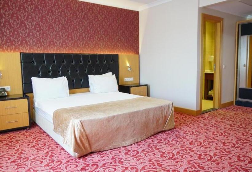 デラックスルーム, Vois