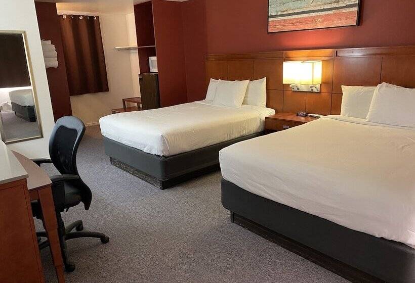 غرفه قياسيه سريرين مزدوجين, Lakeshore Inn Waterfront