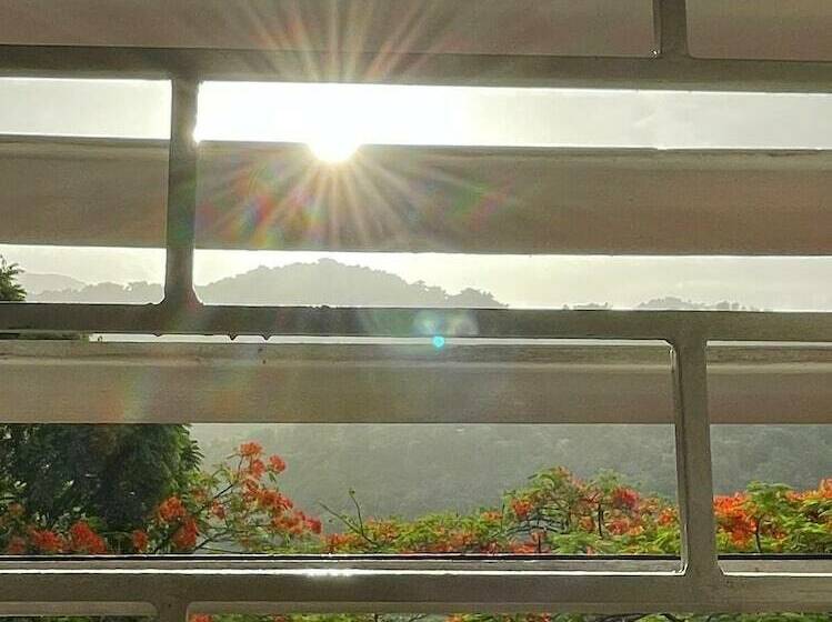 سوئیت راحتی, Neita S Nest