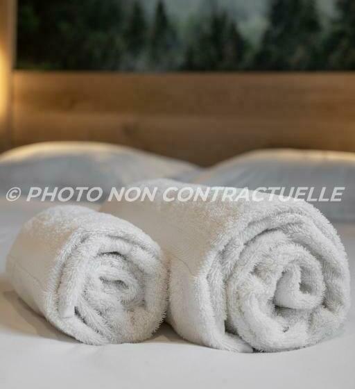 آپارتمان سوپریور 1 خوابه, Lodge Des Glaciers