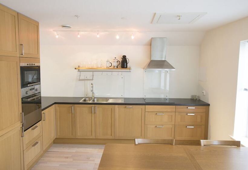 آپارتمان 1 خوابه, Bjørvika Apartments Sølvbergsgata 17