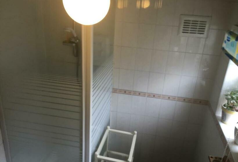 Номер Стандарт Индивидуальный, Albany