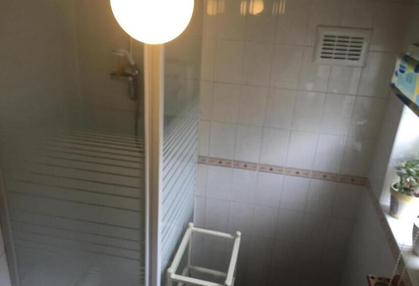 Номер Стандарт, Albany