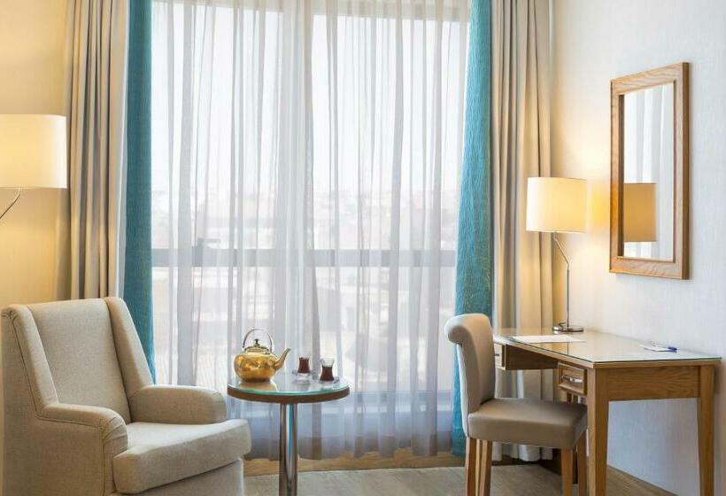 اتاق سوپریور با تخت بزرگ, Plus Hotel Setif