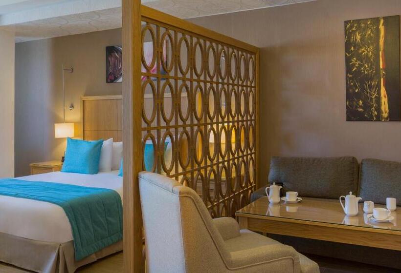 سوئیت جونیور با تخت بزرگ, Plus Hotel Setif