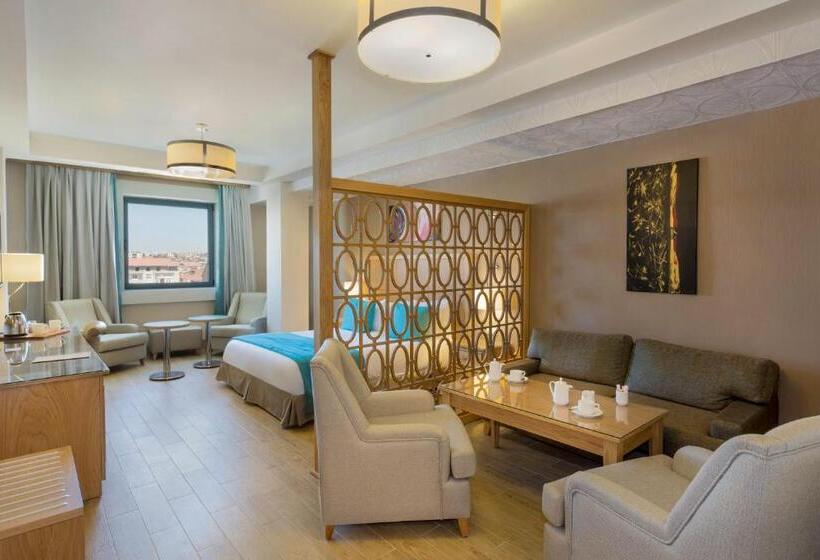 سوئیت جونیور با تخت بزرگ, Plus Hotel Setif