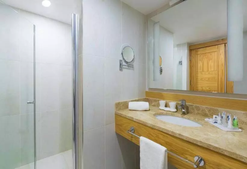 سوئیت با تخت بزرگ, Plus Hotel Setif