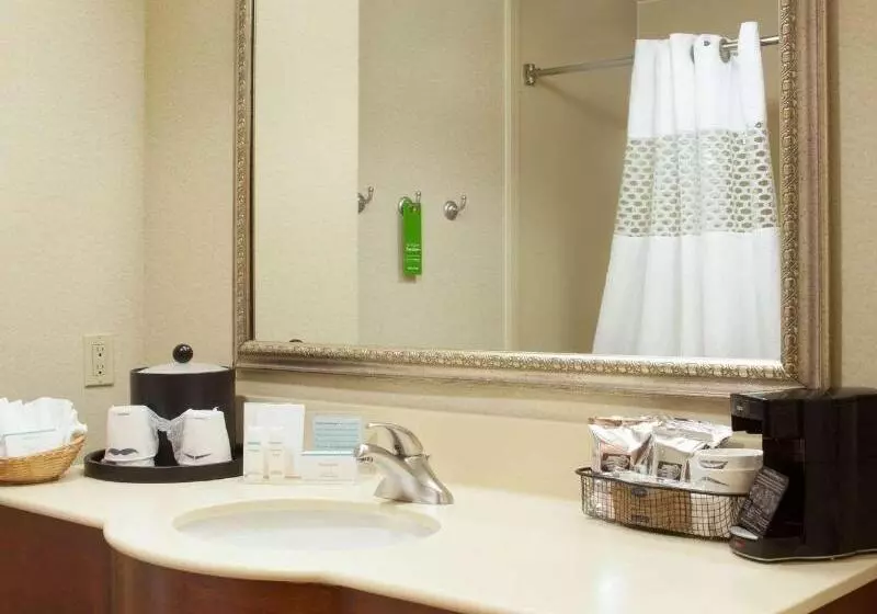 身障者適用スタンダードルーム, Holiday Inn Express & Suites Houston Nw   Hwy 290 Cypress, An Ihg