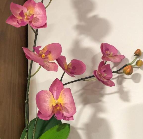 חדר סטנדרט, Llar De Capitans