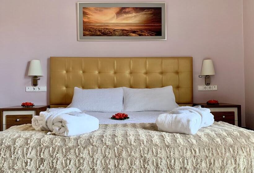 חדר סטנדרט, Llar De Capitans