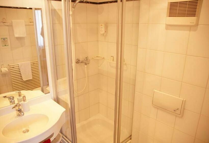 Номер Стандарт Индивидуальный, Restaurant Roter Ochsen