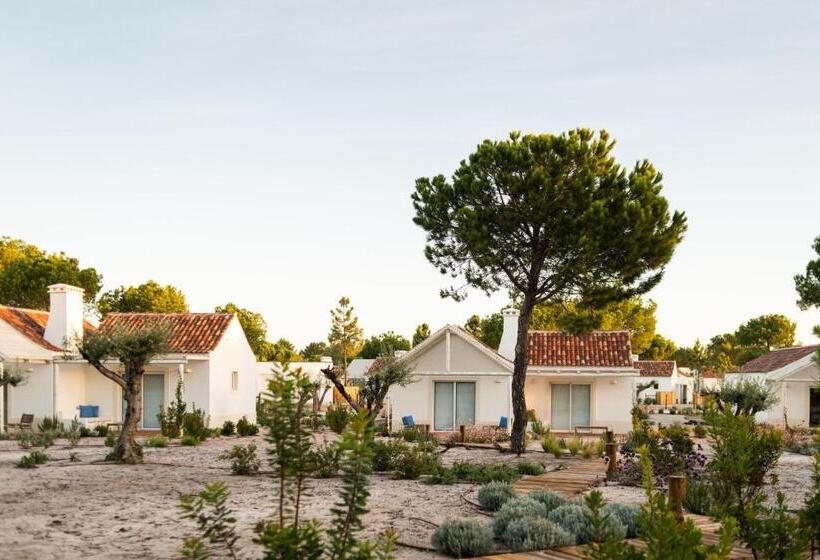 スタンダードスタジオ, Independente Comporta