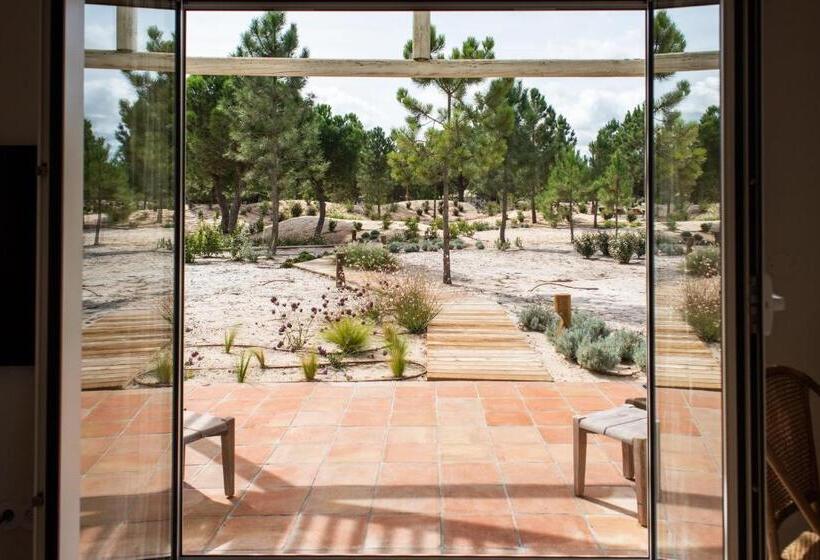 スタンダードスタジオ, Independente Comporta