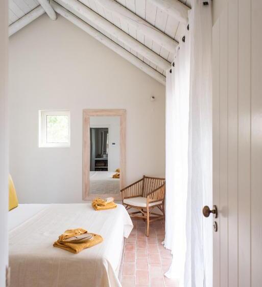 スタンダードスタジオ, Independente Comporta