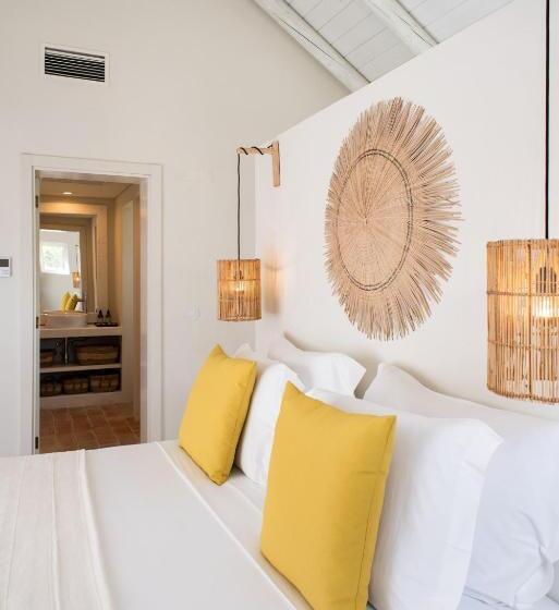 スタンダードスタジオ, Independente Comporta