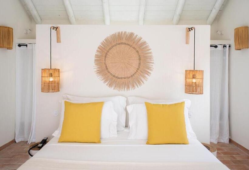 スタンダードスタジオ, Independente Comporta