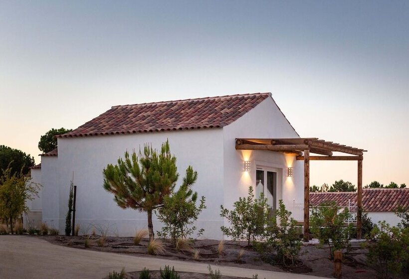 スタンダードルーム, Independente Comporta