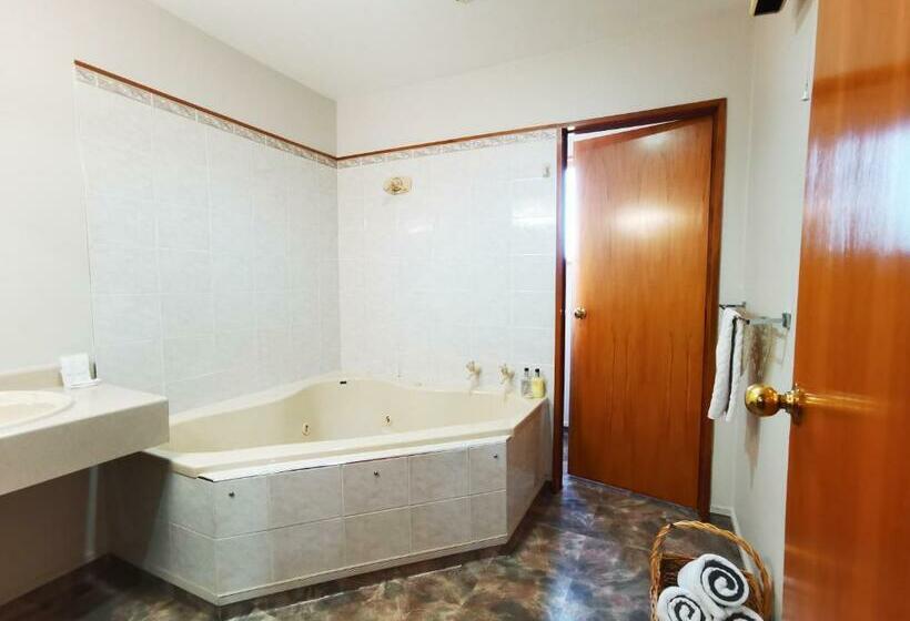 Апартаменты 1 Спальня, Asure Ambassador Motor Lodge