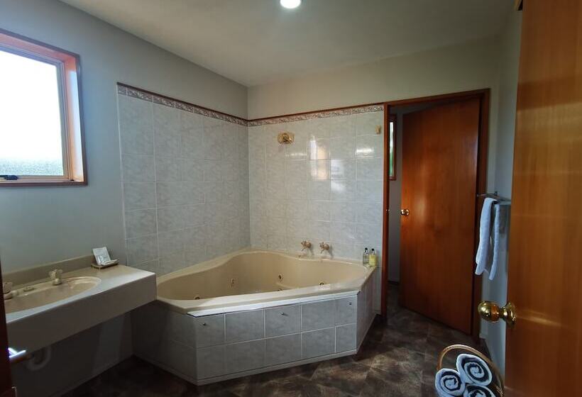 Президентский Люкс, Asure Ambassador Motor Lodge