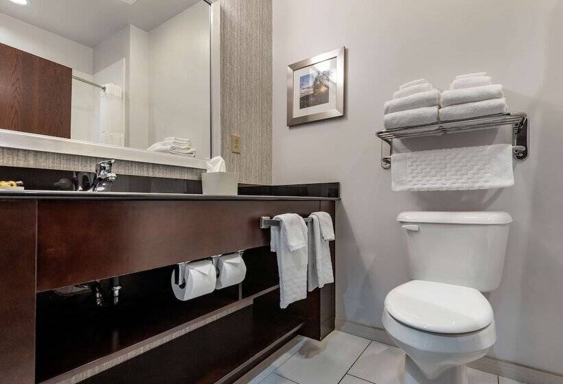 Люкс, Best Western Plus The Hammondsport