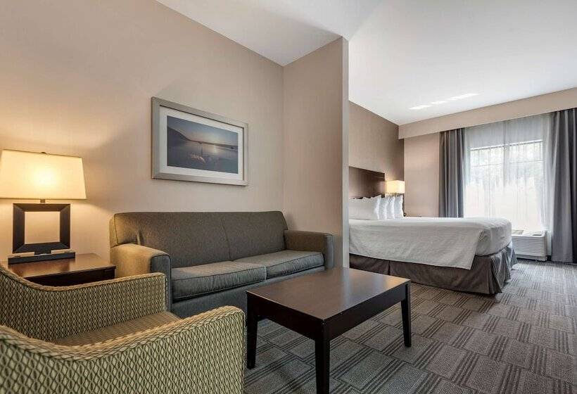 סוויטה, Best Western Plus The Hammondsport