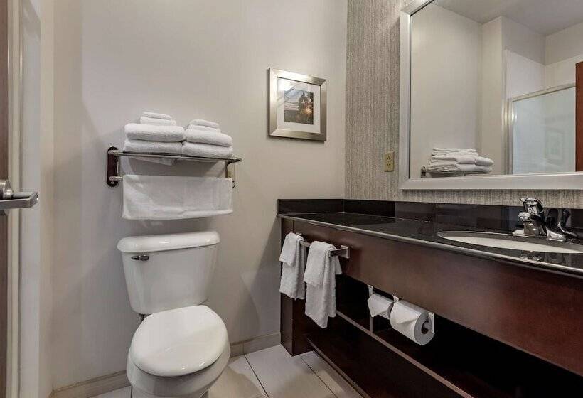 Люкс, Best Western Plus The Hammondsport