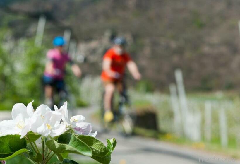 جناح جونيور, Finkennest Panoramic Garden Resort